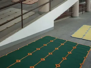 Green Cut Out Carpet by Carpet Edition