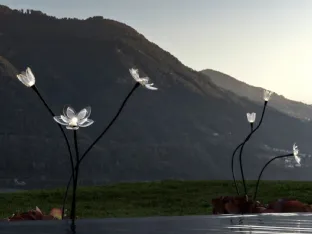 Outdoor Blum Flower metal and PVC lamp by Linea Light.