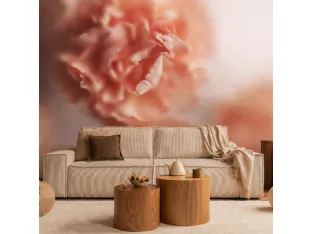 Pink Rose wallpaper by Adriani and Rossi.