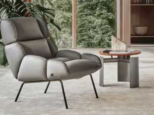 Turtle leather armchair by Busnelli