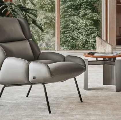 Turtle leather armchair by Busnelli