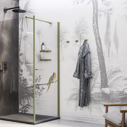 Walk In Shower Box with Swinging Door by Inda