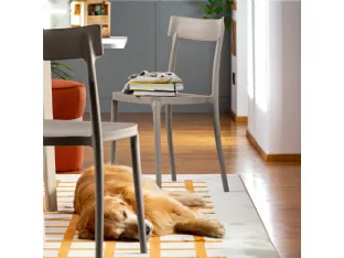 Argo Chair in polypropylene by Connubia