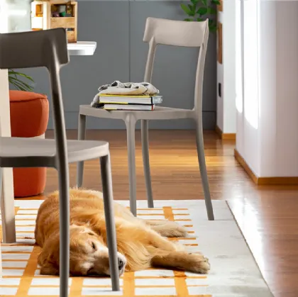 Argo Chair in polypropylene by Connubia