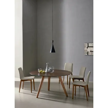 Charlotte chair by Sangiacomo